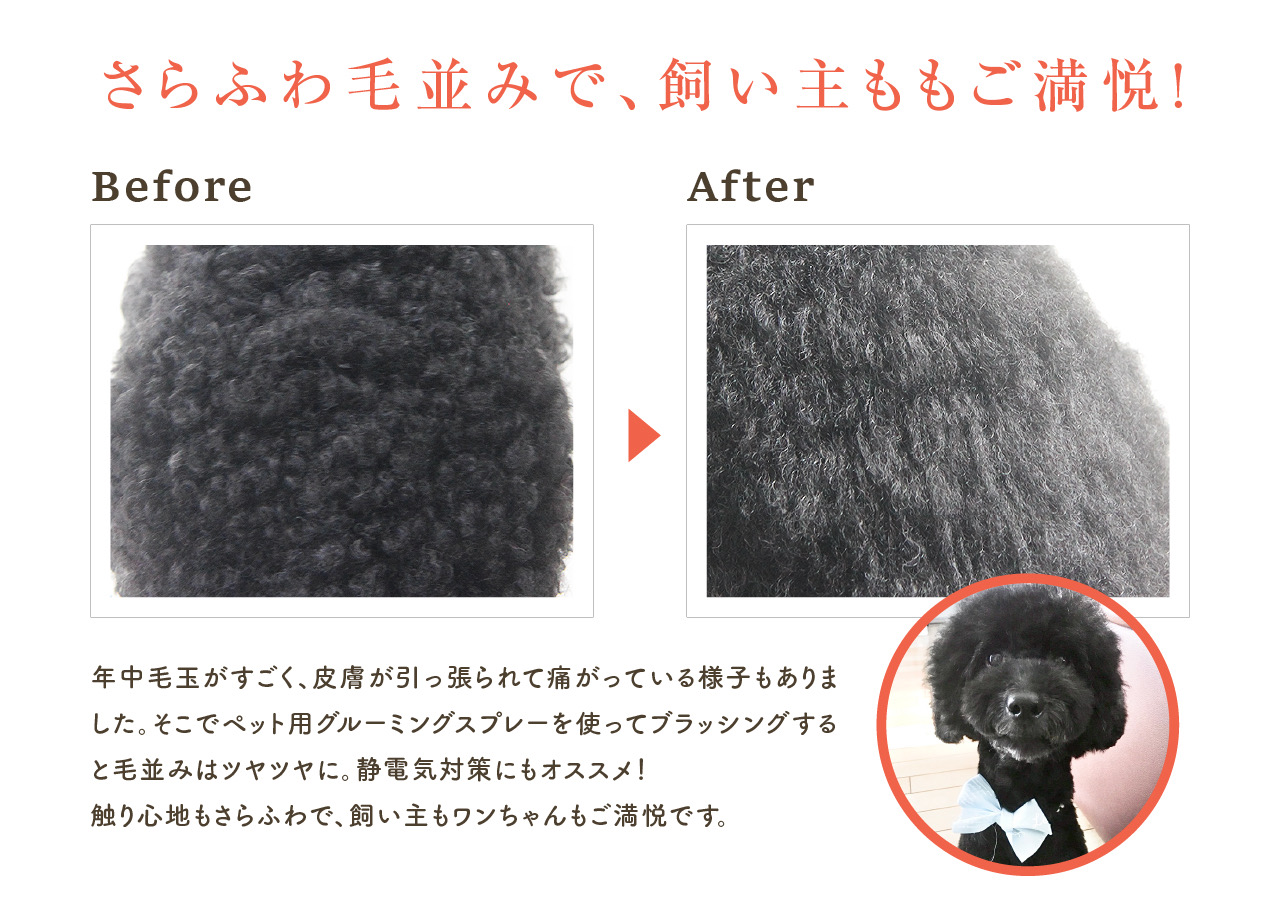 PetcareDr.PRO グルーミングスプレー 300ml 犬 猫 シャンプー