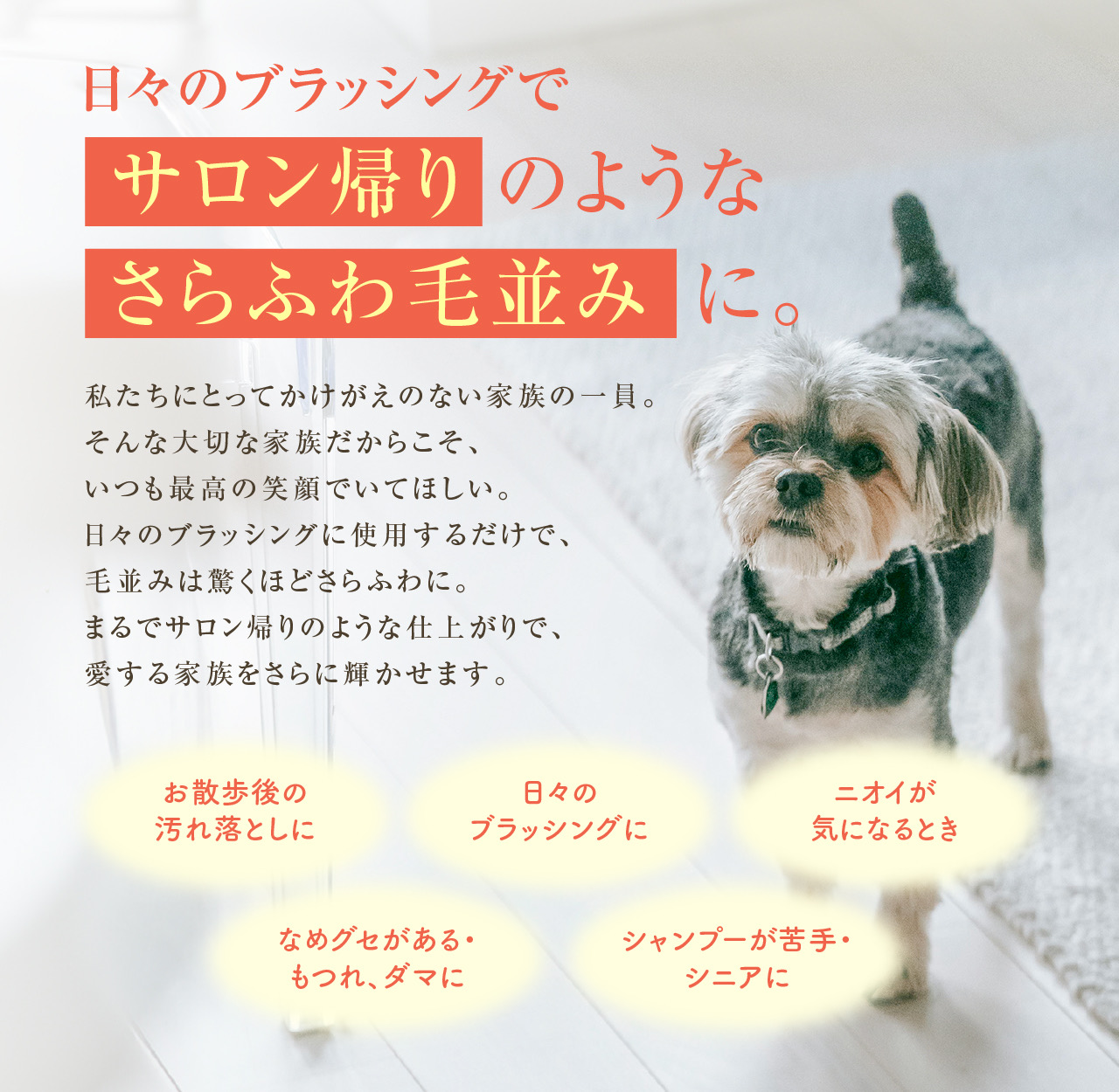 UKCOCO 4 個 洗浄不要のスプレーブラシ retouch グルーミング PetcareDr.PRO グルーミングスプレー 300ml 犬 猫 シャンプー